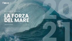 RELAZIONE DI IMPATTO - Flowe