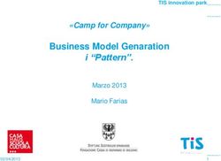 Business Model Genaration - i "Pattern". "Camp for Company"