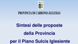 Sintesi delle proposte della Provincia per il Piano Sulcis Iglesiente - PROVINCIA DI CARBONIA IGLESIAS - Provincia Carbonia Iglesias