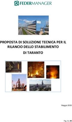 PROPOSTA DI SOLUZIONE TECNICA PER IL RILANCIO DELLO STABILIMENTO DI TARANTO
