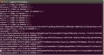 Brute Force : Wordlist, Brute Force Strategies And CUDA - Universit&agrave; degli Studi di Camerino Scuola di Scienze e Tecnologie - Informatica Unicam