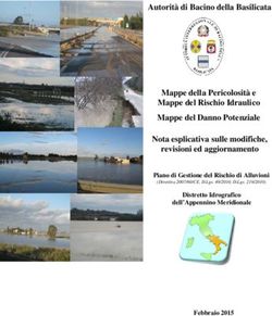 Autorità di Bacino della Basilicata Mappe della Pericolosità e Mappe del Rischio Idraulico Mappe del Danno Potenziale Nota esplicativa sulle ...