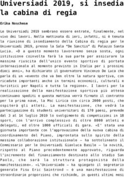 Universiadi 2019, si insedia la cabina di regia - Cronache Salerno