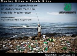 Marine litter e Beach litter Le indagini di Legambiente sui rifiuti dispersi nel mare e sui litorali del Mediterraneo - Giorgio Zampetti ...