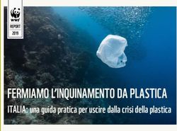 FERMIAMO L'INQUINAMENTO DA PLASTICA - ITALIA: una guida pratica per uscire dalla crisi della plastica - WWF Italia