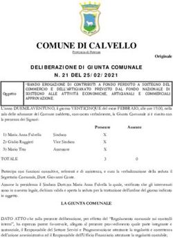 SOSTEGNO ALLE ATTIVITÀ ECONOMICHE, ARTIGIANALI E COMMERCIALI APPROVAZIONE.