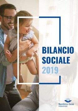 BILANCIO SOCIALE 2019 - Fondazione Bambino Ges&ugrave; Onlus