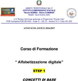 CCoorrssoo ddii FFoorrmmaazziioonnee " Alfabetizzazione digitale" - IC Romeo Cammisa