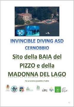MADONNA DEL LAGO Sito della BAIA del PIZZO e della - Per un turismo accessibile e fruibile