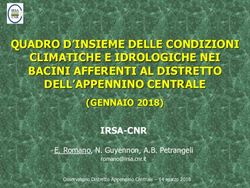 QUADRO D'INSIEME DELLE CONDIZIONI CLIMATICHE E IDROLOGICHE NEI BACINI AFFERENTI AL DISTRETTO DELL'APPENNINO CENTRALE - (GENNAIO 2018) IRSA-CNR ...