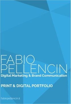 FABIO PELLENCIN PRINT & DIGITAL PORTFOLIO - Digital Marketing & Brand Communication