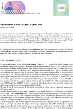 USCIRE DALL'ATOMO, COME LA GERMANIA - IEFE-Bocconi