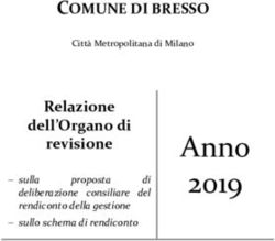 Anno 2019 - COMUNE DI BRESSO
