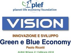 Green e Blue Economy INNOVAZIONE E SVILUPPO - Paolo Ricotti - ALDAI