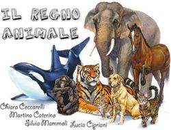 Chiara Ceccarelli Martina Caterino - "Luca Signorelli ...