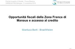 Opportunità fiscali della Zona Franca di Manaus e accesso al credito - Gianluca Berti - BrazilVision