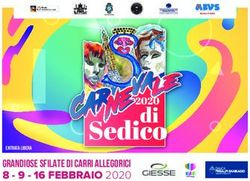 GRANDIOSE SFILATE DI CARRI ALLEGORICI 16 FEBBRAIO 2020 - Dolomiti Prealpi