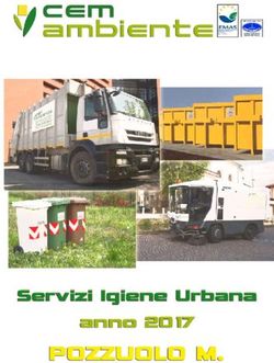 POZZUOLO M. Servizi Igiene Urbana anno 2017 - Comune di ...