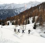 EVENTI - INVERNO - Vezza d'Oglio ...