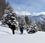 EVENTI - INVERNO - Vezza d'Oglio ...