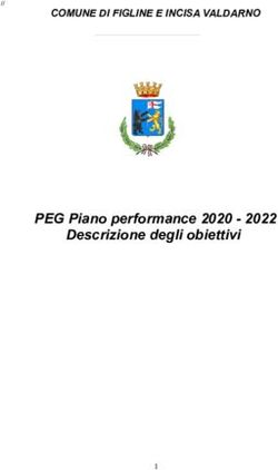 PEG Piano performance 2020 - 2022 Descrizione degli obiettivi - COMUNE DI FIGLINE E INCISA VALDARNO