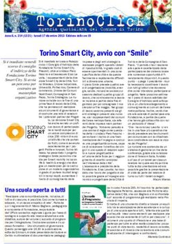 Torino Smart City, avvio con "Smile"