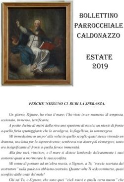 BOLLETTINO PARROCCHIALE CALDONAZZO - estate 2019 - Parrocchie Lago di Caldonazzo