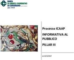 INFORMATIVA AL PUBBLICO PILLAR III - Processo ICAAP