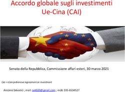 Accordo globale sugli investimenti Ue-Cina (CAI) - Senato della Repubblica, Commissione affari esteri, 30 marzo 2021