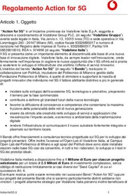 Regolamento Action for 5G - Articolo 1. Oggetto - Vodafone 5G