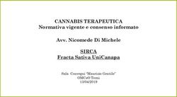 CANNABIS TERAPEUTICA SIRCA - Normativa vigente e consenso informato Avv. Nicomede Di Michele Fracta Sativa UniCanapa Sala Convegni "Maurizio ...
