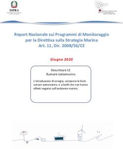 Report Nazionale sui Programmi di Monitoraggio per la Direttiva sulla Strategia Marina Art. 11, Dir. 2008/56/CE