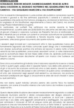 INTERROGAZIONE SCHIAMAZZI, RUMORI MOLESTI, DANNEGGIAMENTI, RISSE ED ALTRO: QUALI SOLUZIONI AL DEGRADO NOTTURNO NEL QUADRILATERO TRA VIA CANOVA ...