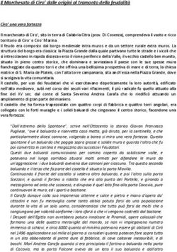 Il Marchesato di Ciro' dalle origini al tramonto della feudalit&agrave; Ciro' una vera fortezza