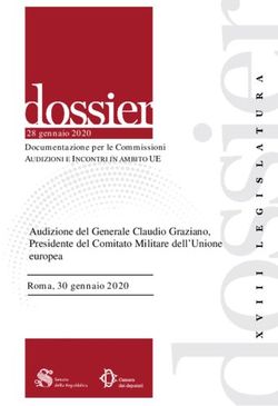 Audizione del Generale Claudio Graziano, Presidente del Comitato Militare dell'Unione europea - Roma, 30 gennaio 2020 - Senato