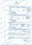 DOCUMENTAZIONE Mascherina FFP2 Modello YYC1028 - monouso / non-sterile - My Benefit