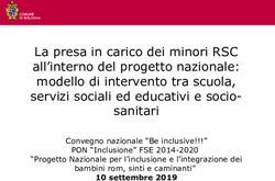 La presa in carico dei minori RSC all'interno del progetto nazionale: modello di intervento tra scuola, servizi sociali ed educativi e socio...