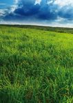 Ritorno alla Natura per uno sviluppo sostenibile - Evoluzione srl