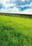 Ritorno alla Natura per uno sviluppo sostenibile - Evoluzione srl
