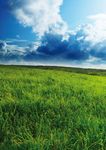 Ritorno alla Natura per uno sviluppo sostenibile - Evoluzione srl