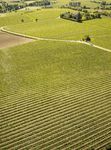 DL Cura Italia FOCUS AGRICOLTURA - CIA Abruzzo
