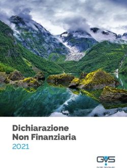 Dichiarazione Non Finanziaria 2021 - GVS Filter Technology