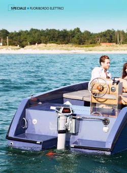 SPECIALE FUORIBORDO ELETTRICI - Vela e Motore - Torqeedo