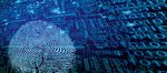 HORIZON 2020 in breve - Il programma quadro dell'UE per la ricerca e l'innovazione - Il programma quadro dell'UE per la ricerca ...