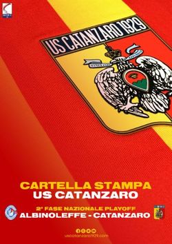 CARTELLA STAM PA US CATANZARO - ALBINOLEFFE - CATANZARO 2 FASE NAZIONALE PLAYOFF - US ...