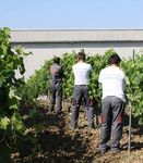 10 anni di progetto policoro - Diocesi di Sant'Angelo dei Lombardi