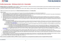Profilo Commerciale - TIM Deluxe Dati XL 5G - Ricaricabile