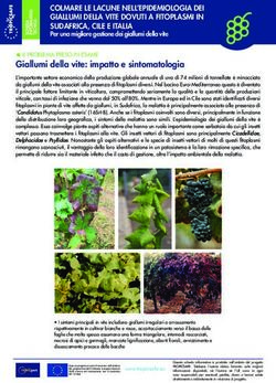 Giallumi della vite: impatto e sintomatologia - TROPICSAFE