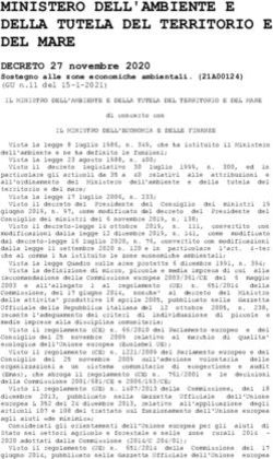 MINISTERO DELL'AMBIENTE E DELLA TUTELA DEL TERRITORIO E DEL MARE