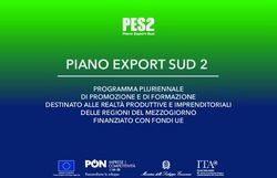 PIANO EXPORT SUD 2 PROGRAMMA PLURIENNALE DI PROMOZIONE E DI FORMAZIONE DESTINATO ALLE REALTÀ PRODUTTIVE E IMPRENDITORIALI DELLE REGIONI DEL ...